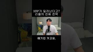 [리플 XRP] XRP가 밀려난다고? 리플의 진짜 전략은 따로 있다