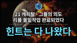 BTC, XRP 장기물량 따로 빼둘 것.