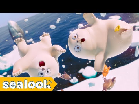 SEALOOK Most Iconic Duos SpecialㅣSEALOOK Compilation
