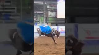 #funnyshorts