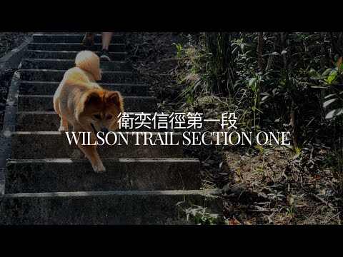 香港行山 衛奕信徑第一段 Wilson Trail Section 1｜天梯大上大落孖崗山、紫羅蘭山｜香港島｜行山｜Hong Kong hiking #靜路閑人 #mindfulness #身心靈