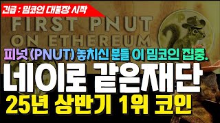 밈코인 대불장 시작, 25년 상반기 떡상할 밈코인 1위, 피넛코인 놓치신 분들 앞으로 100배 상승할 이 밈코인 집중. #pnut#peanut