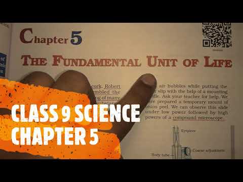 The Fundamental Unit Of Life Class 9 Science Question Answer