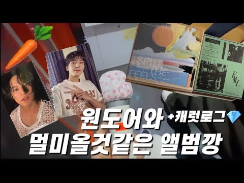 원도어와 멀미올 것 같은 앨범깡/캐럿로그/캐럿/쿱프/원도어친구/보이넥스트도어[보넥도]/세븐틴