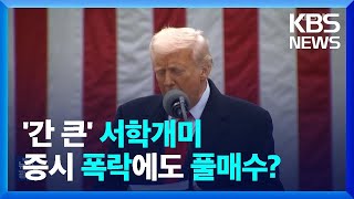 증시 폭락에도 서학개미 풀매수…왜? [잇슈 머니] / KBS  2025.04.09.
