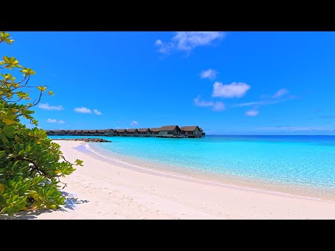 🏝 Beach Screensaver From a Tropical Remote Island Paradise