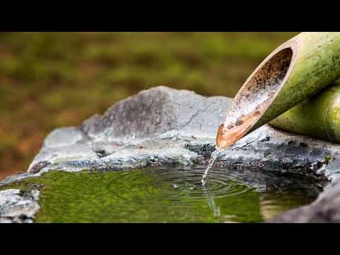 Relax music 24/7, sleep music, stress relief music, spa, meditation, yoga, zen, sleep music
