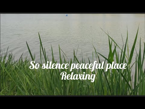 শান্ত লেকের ধারে প্রশান্তি//Peaceful Lakeside Serenity @KTour997