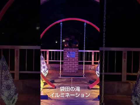 2024年11月24日