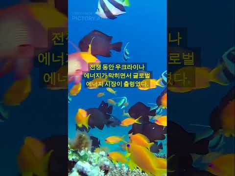 📌"AI가 분석한 우크라이나 전쟁이 끝나면, 경제는 어떻게 될까?"