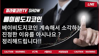 베이비도지코인 소각하는 진정한 의미 공개합니다!!