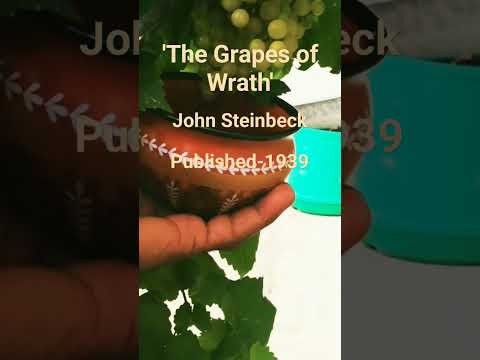 The Grapes of Wrath by John Steinbeck