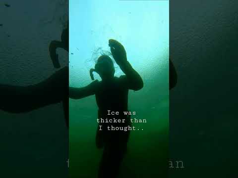 Got my head stuck in the ice.  Oops.