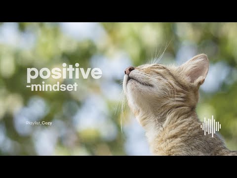 [Playlist_Cozy] Comfortable BGM for dogs and cats, healing music to enjoy with pets #PetHealing