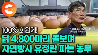 "회원제 운영, 직거래 판매로 억대 매출 냅니다" 2천 평 땅에서 4천 마리 닭에게 12첩 반상을 먹이는 자연방사 유정란 농부의 노하우│달걀 정기구독 서비스🥚│#극한직업