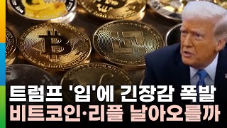 '트럼프 서밋'에 긴장감 도는 가상화폐 시장…비트코인·리플, 다시 날아오를까
