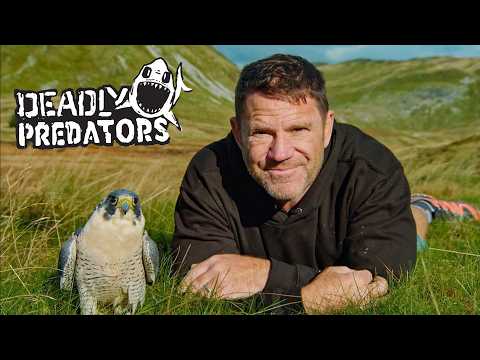 Speed Demons of the Animal Kingdom! | Deadly Predators Full Episode | S1E2 | BBC Studios