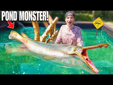 Searching for RARE CANAL MONSTER for my Giant Backyard POND!