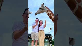 终于可以出国啦! 3天2夜曼谷行程 #Bangkok #Safaripark #Joddfairs #pratunam #imjacelyn