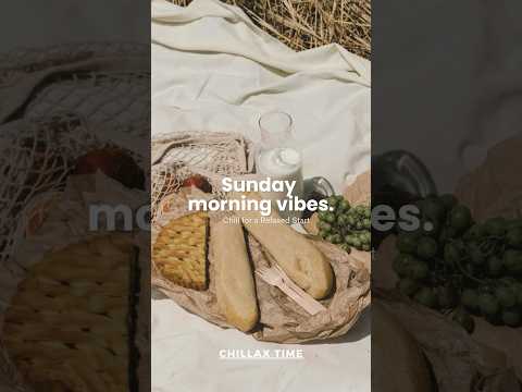 Sunday morning vibes.  #lofi #sundaymoningvibes #shorts #trending