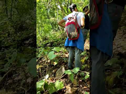 😳😲 #adventure #jungleadventure #tracking  #simlipal #nationalpark #hills #survival #beargrylls