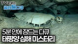 과학으로도 풀리지 않은 태평양 심해의 미스터리｜태평양 심해 탐사｜수면다큐｜다큐프라임｜#골라듄다큐