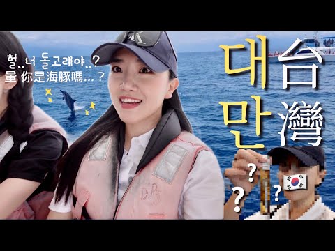 SUB) 대만여행 브이로그🇹🇼대만여행 가서 돌고래 보실래요?🐬 | 타이베이 근교 여행 | 이란 버스투어 완전 정복🔥