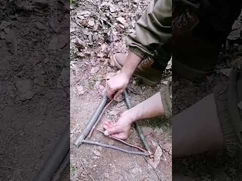 Trial trap #bushcraft #trap #survival