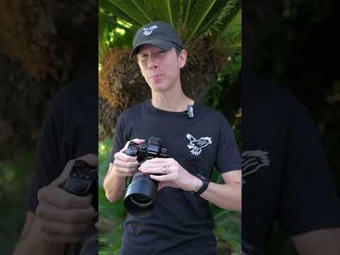 Panasonic 100-400mm Gen II Quick Review