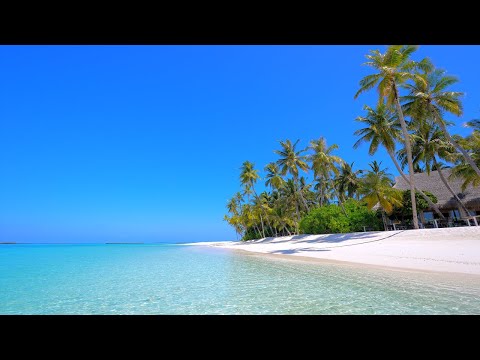 🌴 The Most Beautiful Beach in All of The Maldives Islands