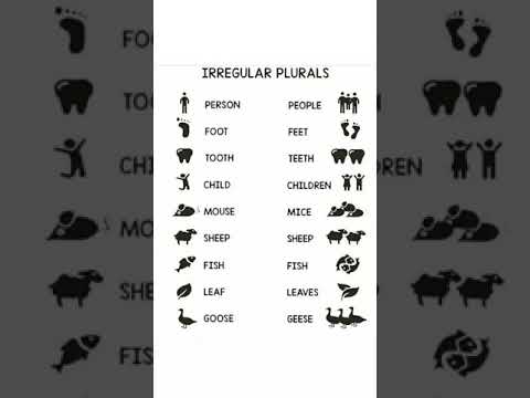 Irregular plurals