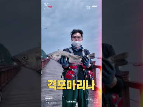 비아이오성형외과신용호 #비아이오성형외과신용호 #격포마리나#요트 #타고#낚시 #농어#팀닥터#신사역성형외과 #세일링요트 #스피네이커