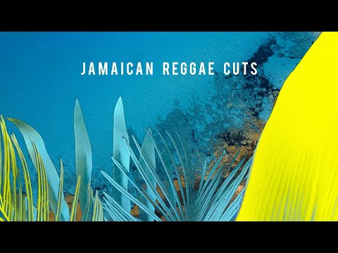 Sexy Chick 🌸 Jamaican Reggae Cuts  🌸🌺🌷
