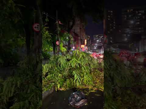 Bairro de Botafogo Agora.