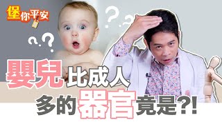 嬰兒骨頭比成人多？！人類超神奇成長過程【堡你平安 侯鐘堡】