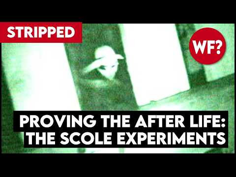 Proving the Afterlife | The Scole Experiments (STRIPPED)