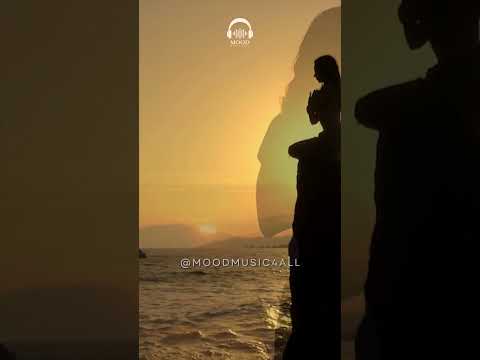 Meditation and relaxation playlist