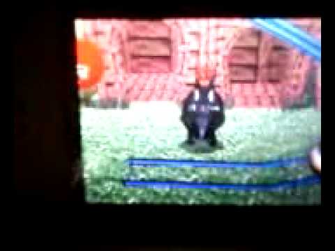 petz bunnyz