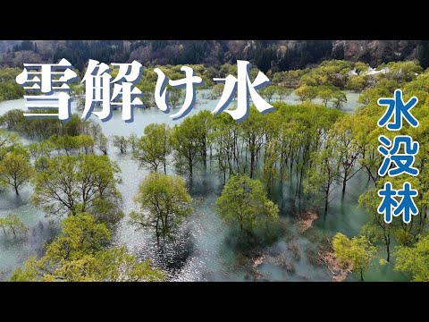 雪解け水で水没…山形・飯豊