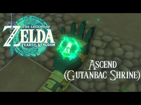 Tears of the Kingdom Ascend (Gutanbac Shrine)