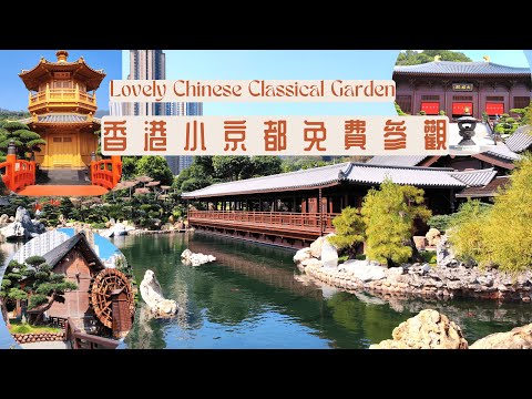 Nan Lian Garden, discover a Chinese garden oasis in the heart of the city