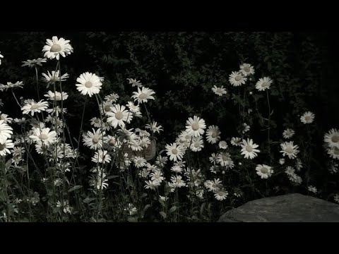 𝑷𝒍𝒂𝒚𝒍𝒊𝒔𝒕 누가 널 대신하겠어 그냥 좀 돌아와 | R&B 힙합 플리 𖤐 인스타 감성 이별 플레이리스트