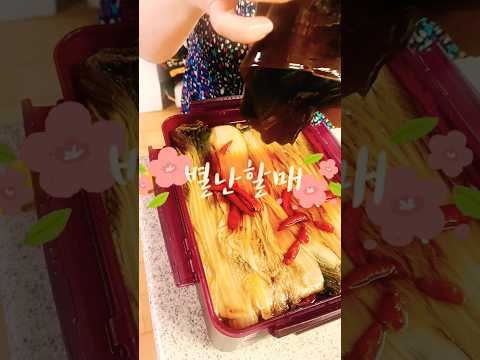 #별난할매#김치 #금쪽이#생파#묵은지