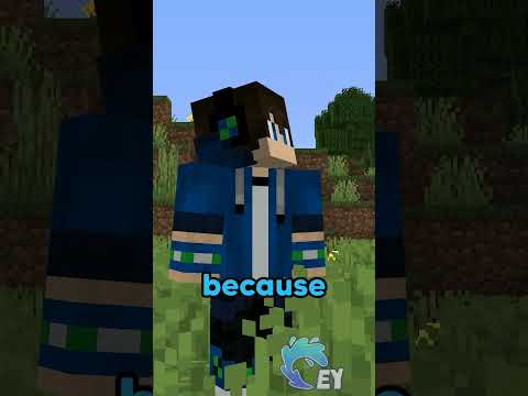 Minecraft, But You Can’t Say Colors…