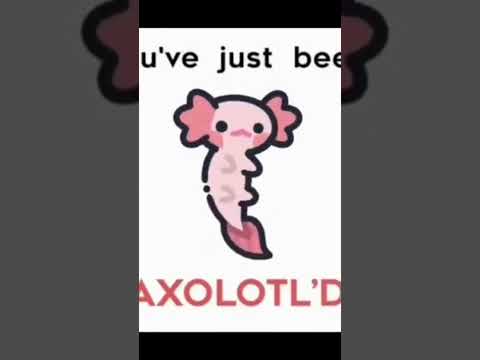 Youv’e been Axolotled