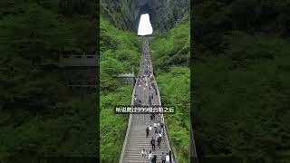 “张家界5天4晚旅游攻略来拉，好吃好玩不踩坑” #张家界 #旅游推荐官  #张家界旅游攻略