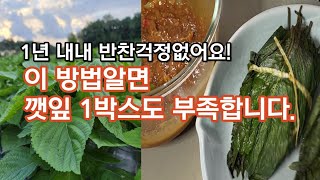 1년 내내 맛있는 저장 비법! 건강한 맛 된장 깻잎장아찌 | 엄마요리 | 시골밥상 | 깻잎키우기 | 집밥 | 시골살이 |