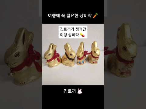 해외 국내여행 준비물 필수상비약 추천🐰🥕 by 집토끼