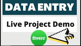 Data Entry Work Demo for Beginners