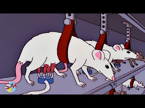 Los Simpsons - Momentos Clásicos 32
